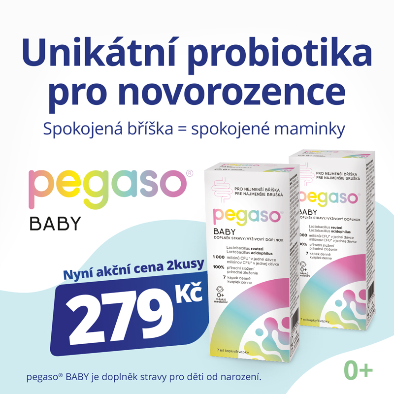 pegaso-baner